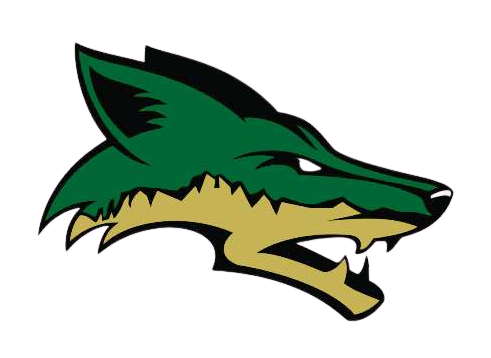 Skyline Football